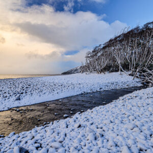 BC Pat Fjords_15