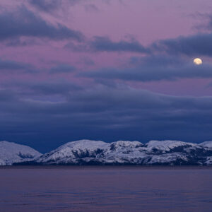 BC Pat Fjords_17