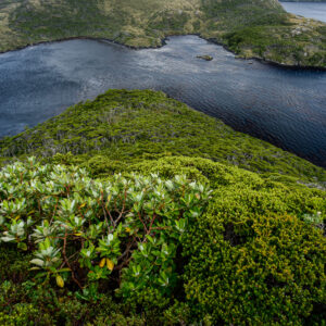 Cape Horn_2