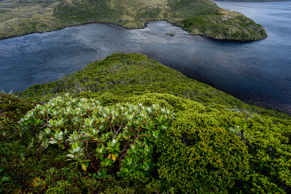 Cape Horn Uncharted: A Photographer’s Voyage