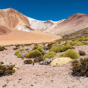 PQ Lauca_11