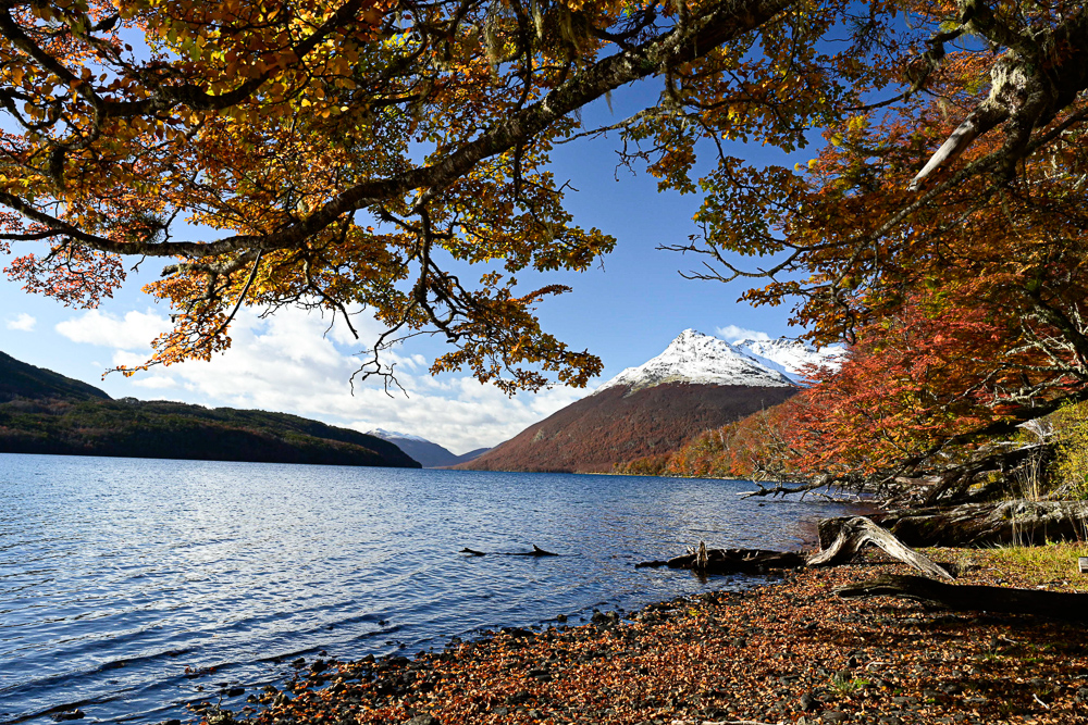 Patagonia: Autumn at the End of the World