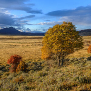 Pata Last Light_021