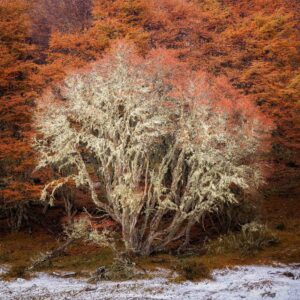 Patagonia Far South_001