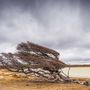 Patagonia Far South_002