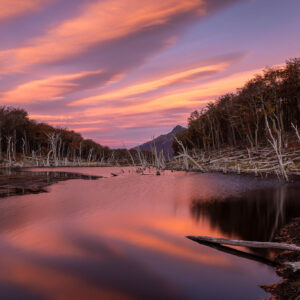 Patagonia Far South_004