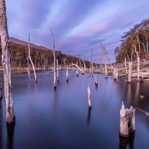 Patagonia Far South_005