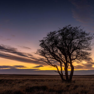 Patagonia Far South_009